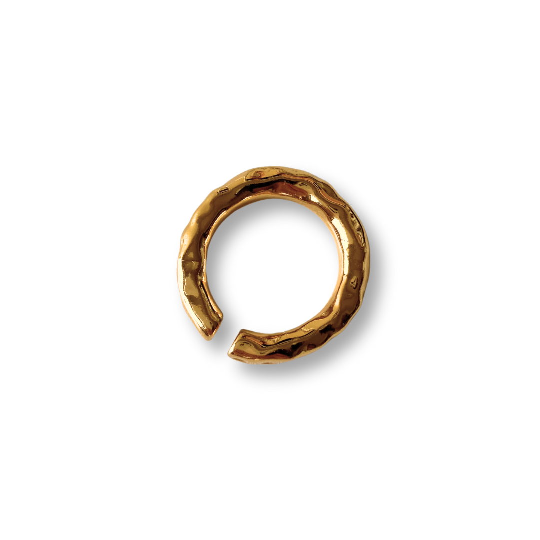 FEMI ring - Image 3